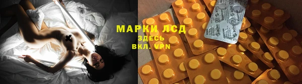шишки Нефтегорск
