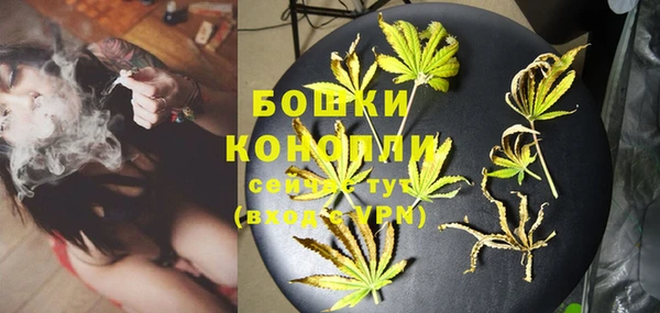 твердый Новодвинск