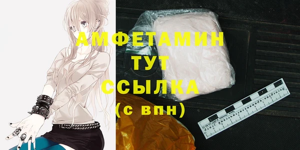 твердый Новодвинск