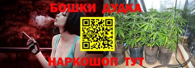 дурь Гай